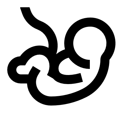 Prénatal