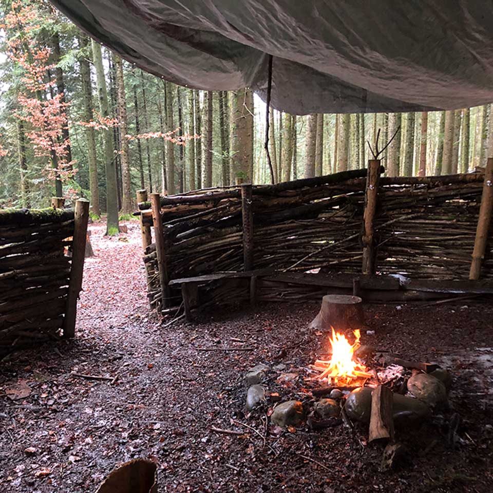 Jeux en forêt
