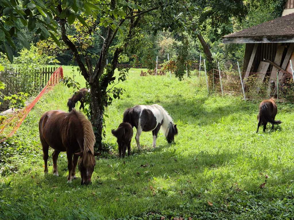 Mini-ferme pédagogique du Domaine des Râpes
