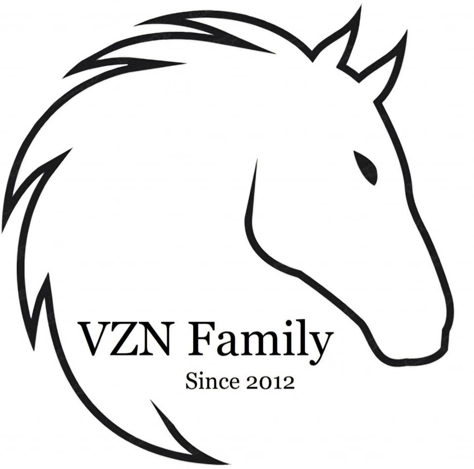 VZN Family logo