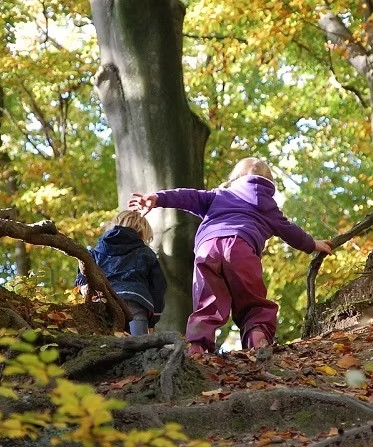 Au pays de la belle forêt
