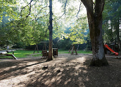 Place de jeux des 4 sapins