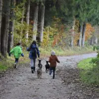 Chouki-chèvre